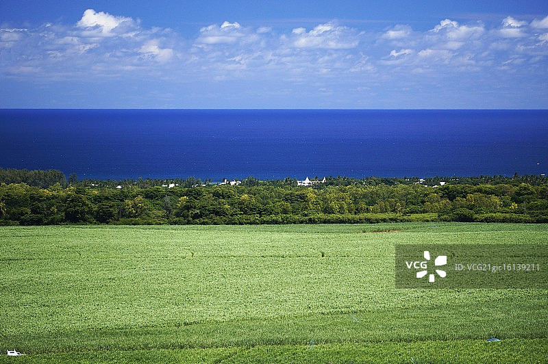 纯净清新图片素材