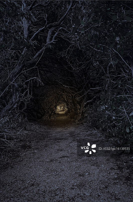 麦克斯韦顿教堂图片素材