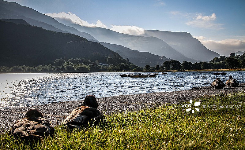 威尔士图片素材
