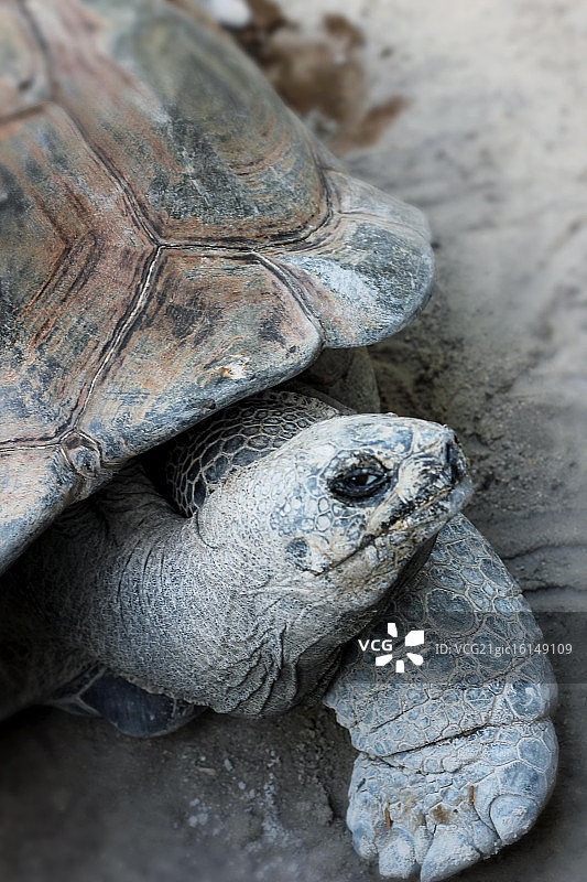 维多利亚的秘密图片素材