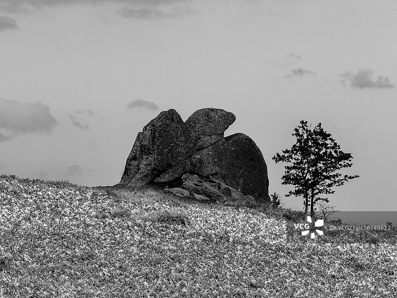 阿吉姆斯科的老鹰石图片素材