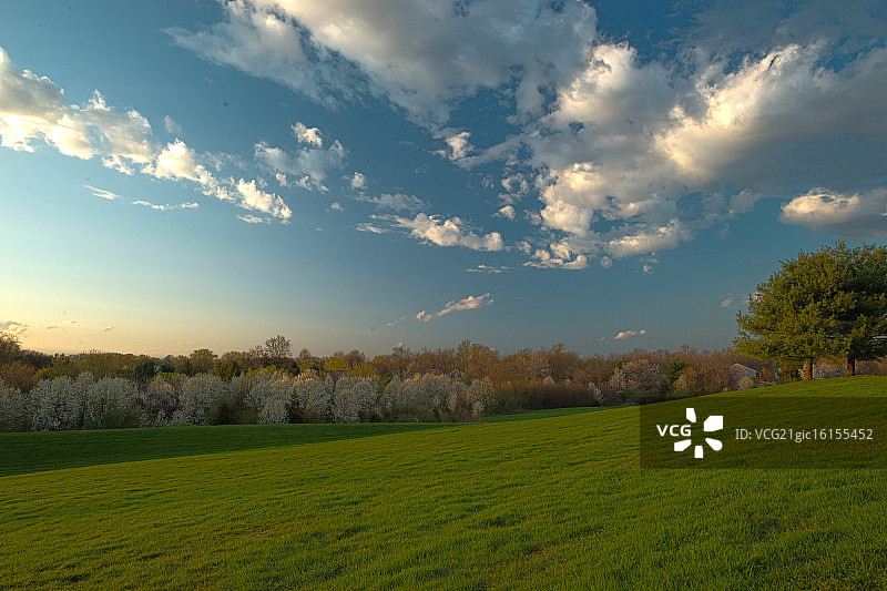 春季田野HDR图片素材