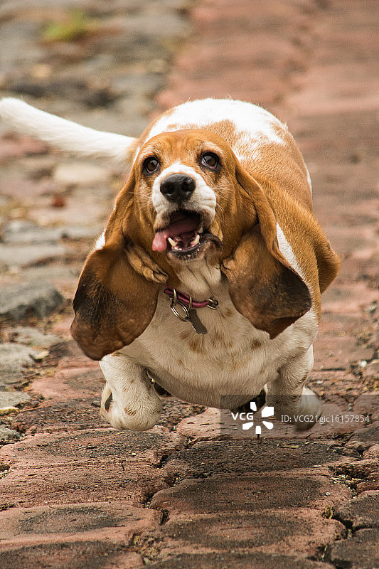 给我球图片素材