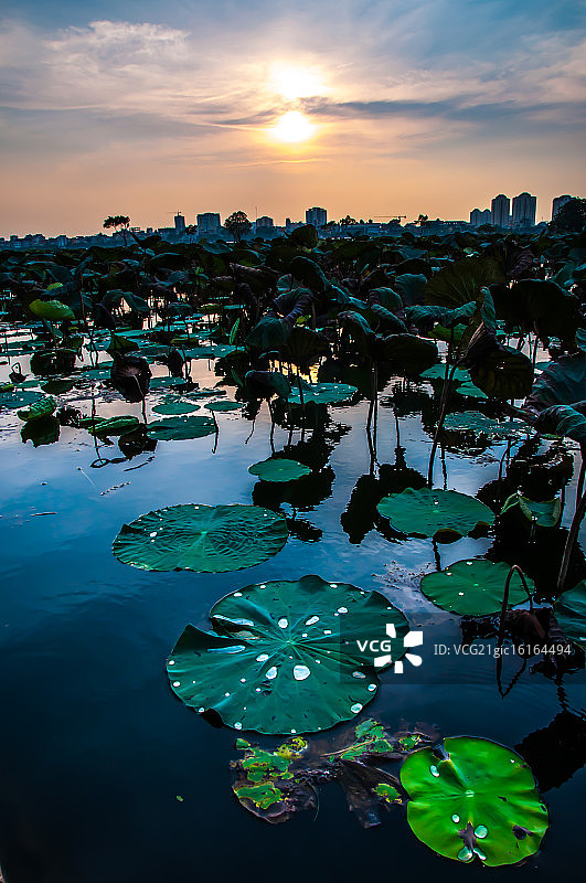 河内西湖图片素材
