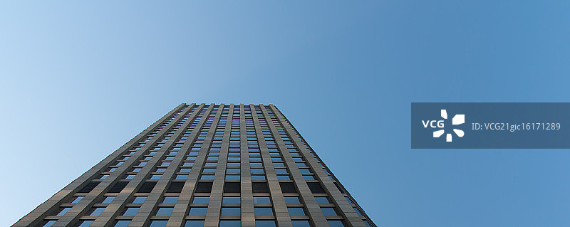 旧金山巨人队图片素材