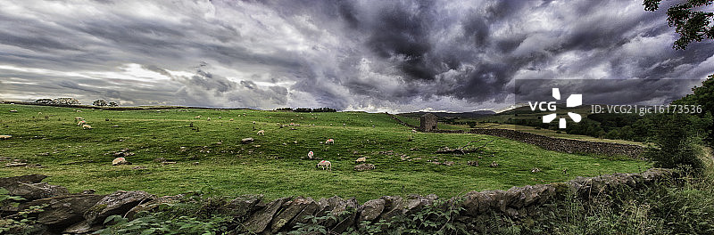 八月的农田图片素材
