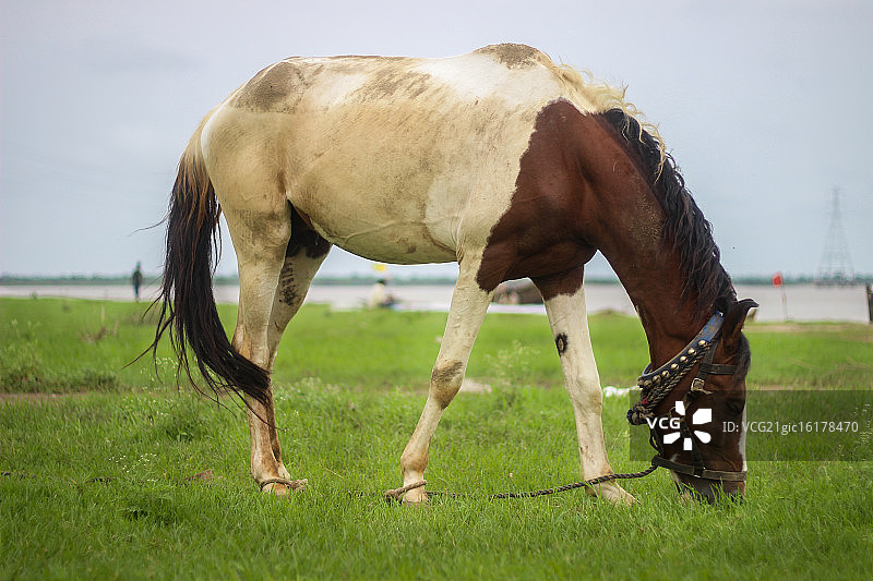 命运的束缚图片素材