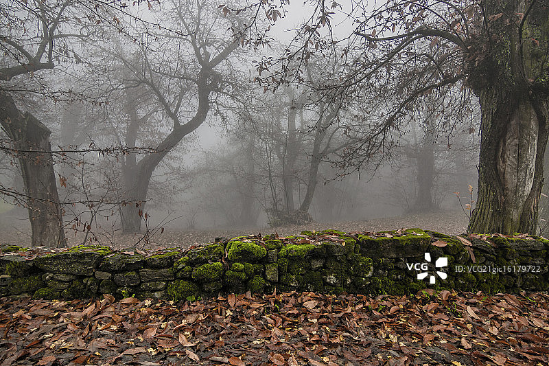 人类边界图片素材