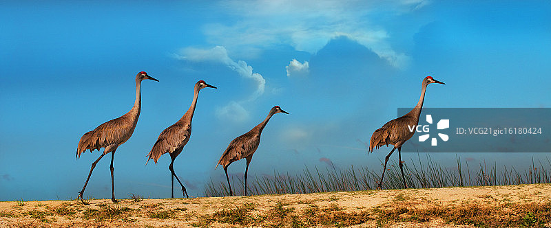 我们向北前进图片素材