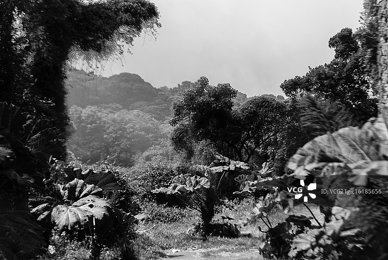 波阿斯火山附近的风景图片素材