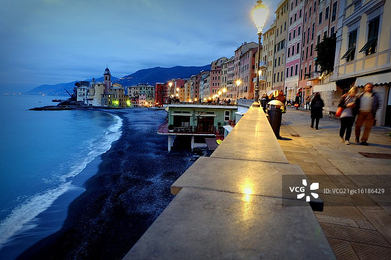 蓝色的卡莫利图片素材