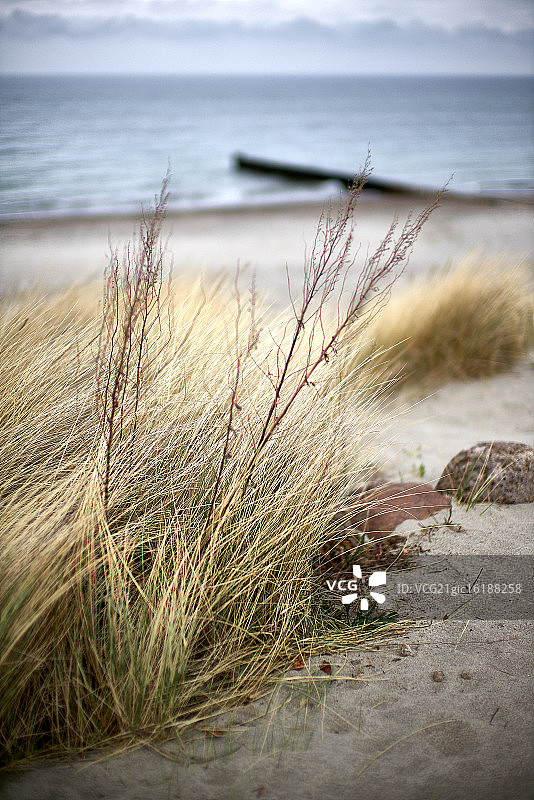 海利根达姆图片素材