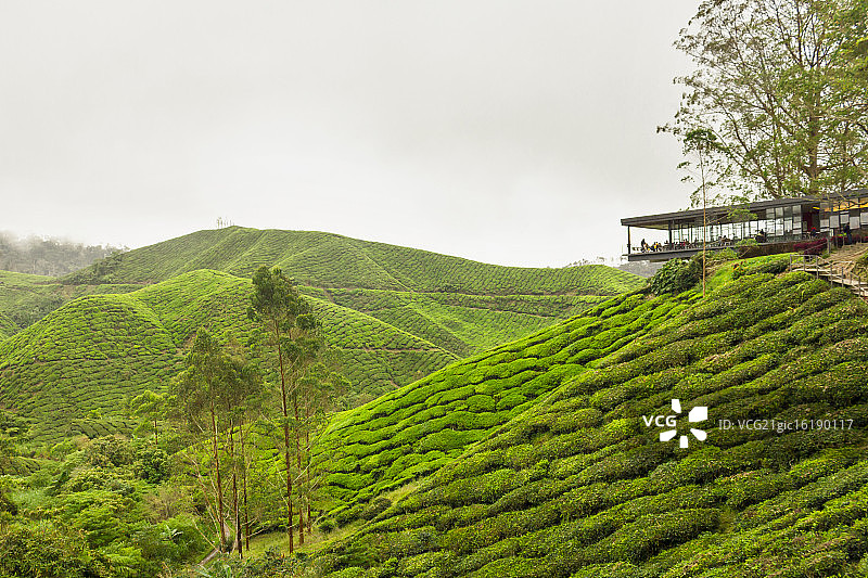卡梅伦高地图片素材