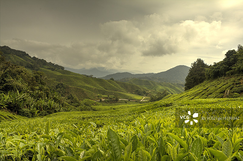 卡梅伦高地图片素材
