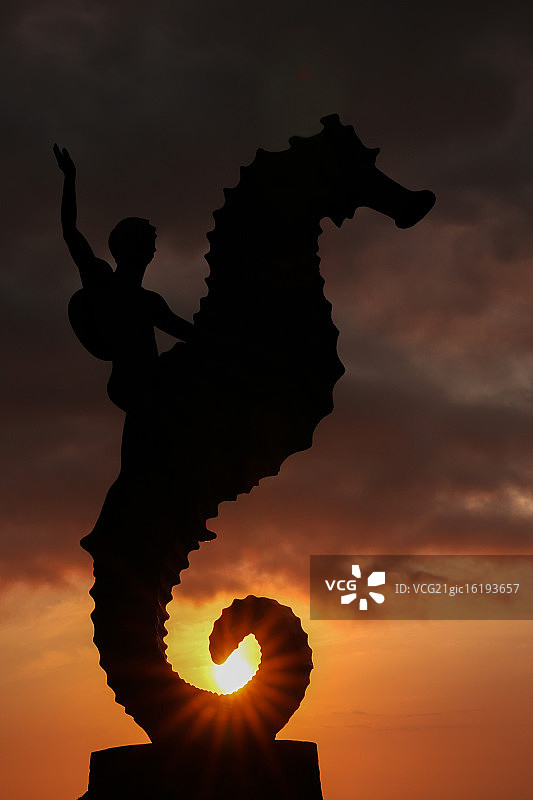 小男孩骑海马图片素材