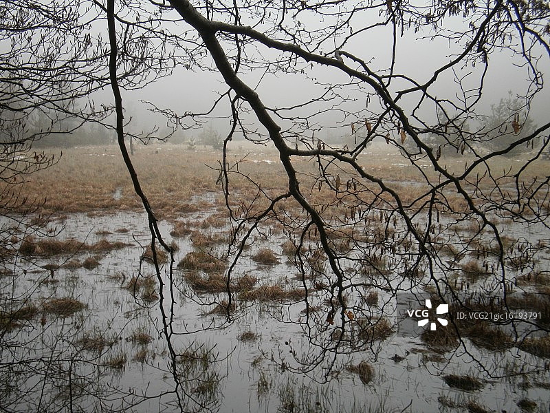 火山口沼泽图片素材