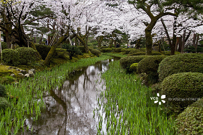 兼六园美景图片素材