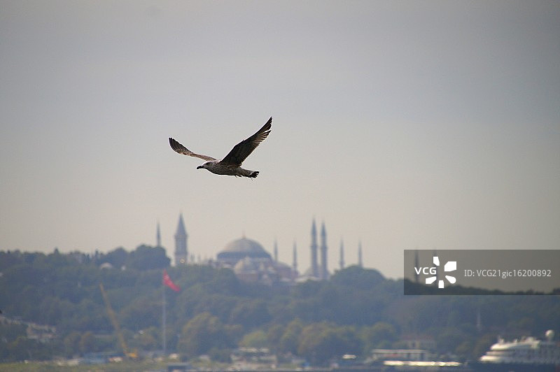 伊斯坦布尔景色图片素材