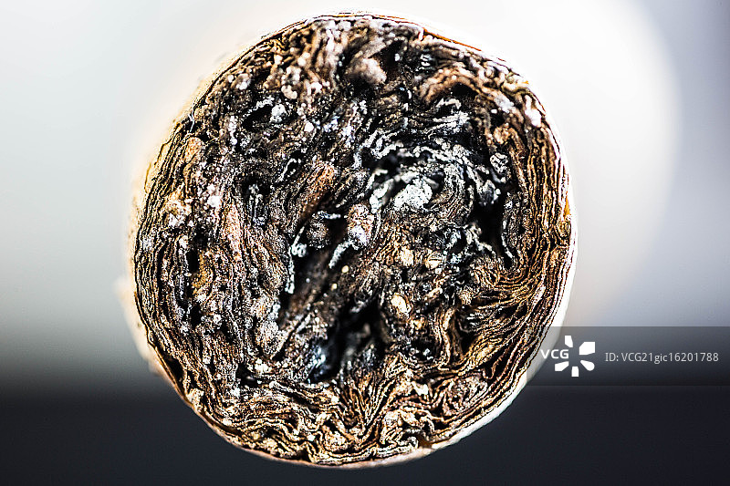 烧焦的雪茄烟头图片素材