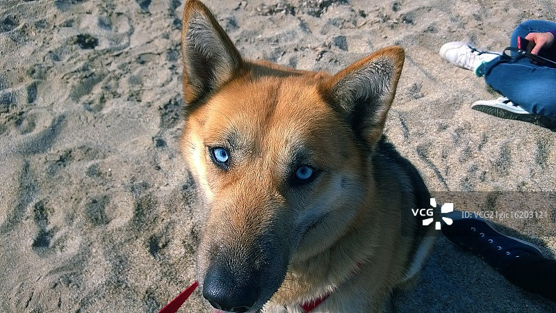 蓝色眼睛图片素材