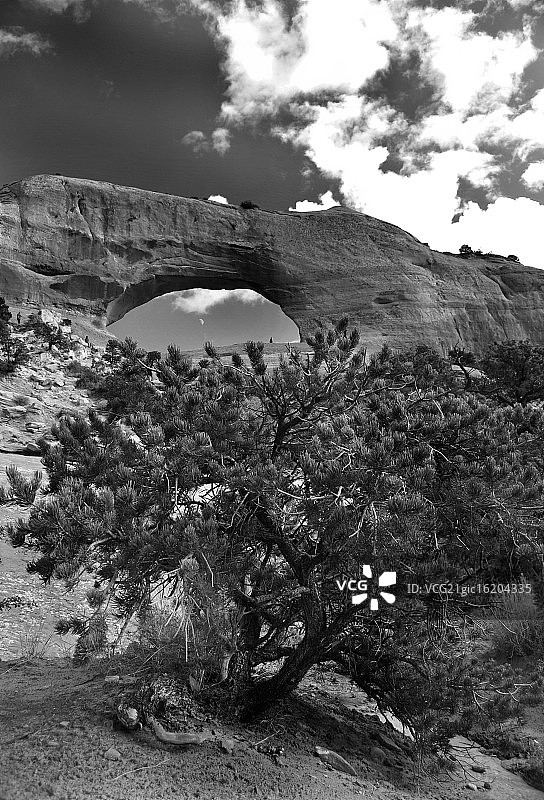 犹他州威尔逊拱门图片素材