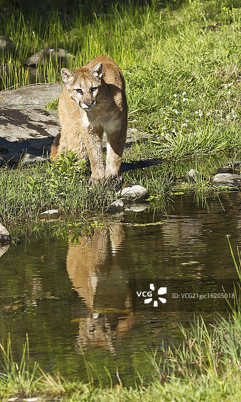 那边有什么？图片素材