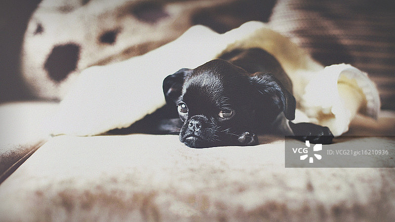 悲伤的女孩图片素材