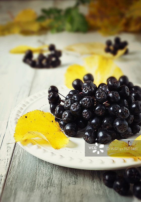 成熟的野樱莓图片素材