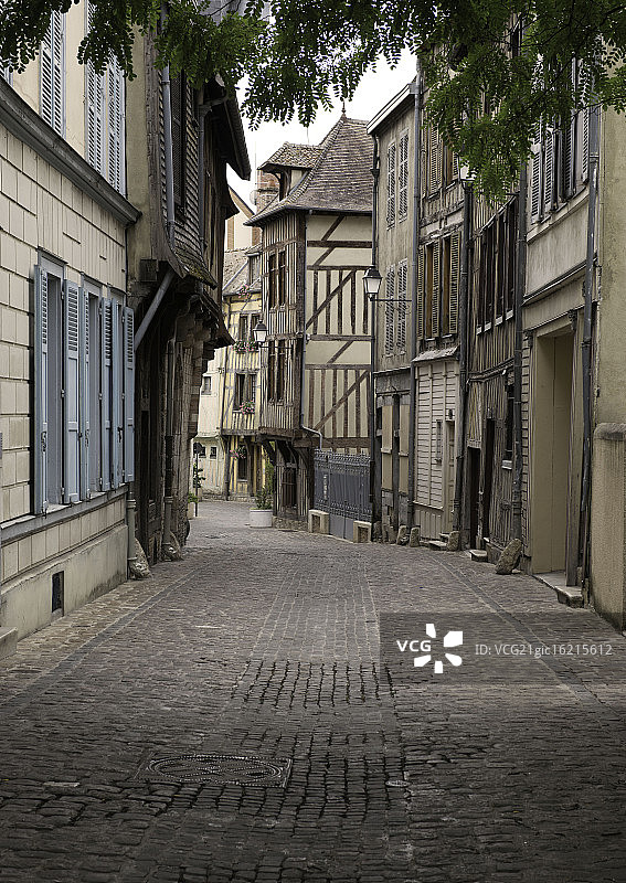 金合欢树下的特鲁瓦图片素材