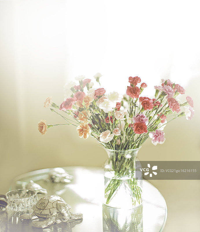 康乃馨图片素材