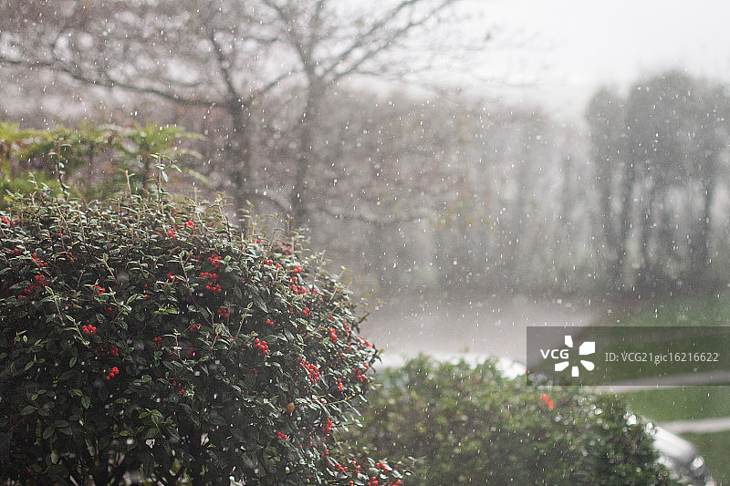 窗外雨景图片素材
