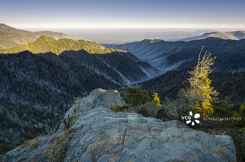 查理的拇囊炎图片素材