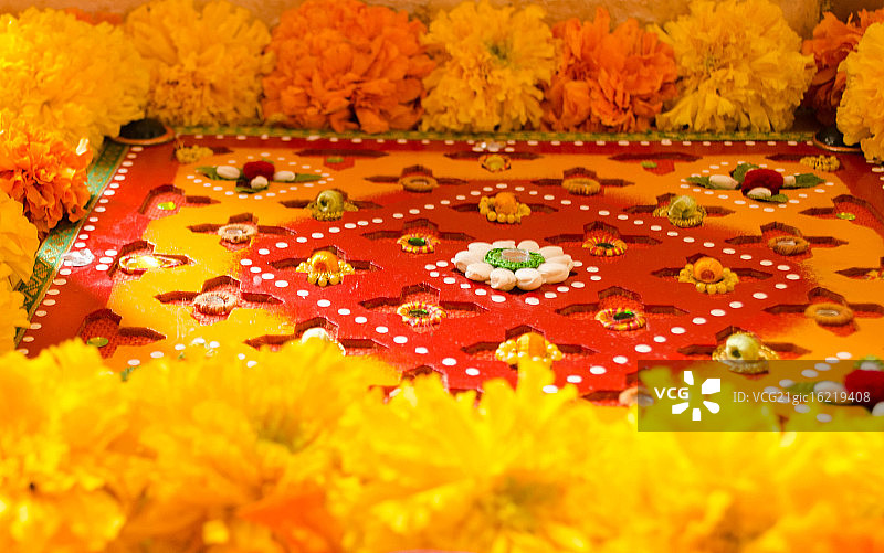 蓝果丽图片素材