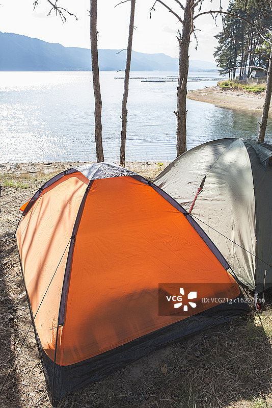 森林中的帐篷图片素材