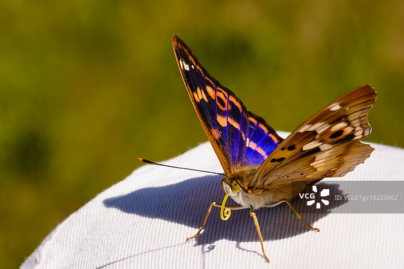 彩虹蓝图片素材