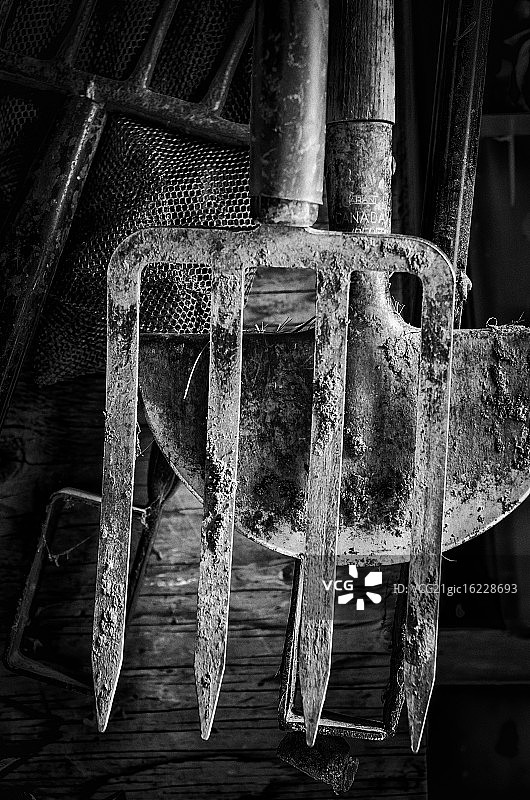 园艺工具图片素材