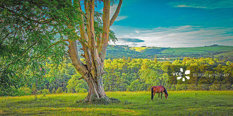 爱尔兰威克洛郡风光图片素材