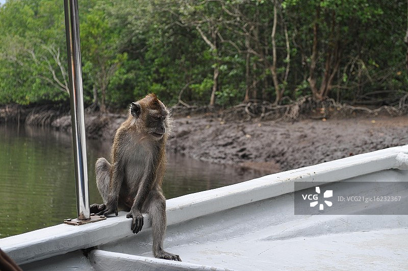 探索兰卡威图片素材