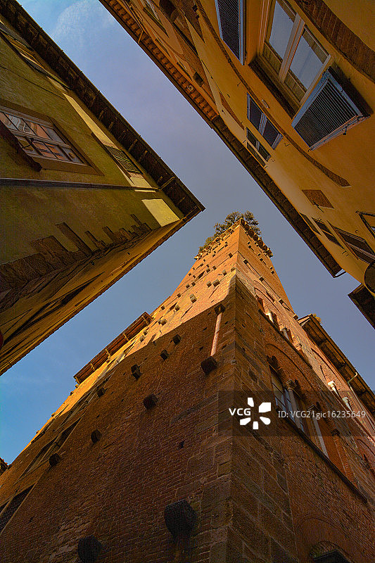 圭尼吉塔图片素材