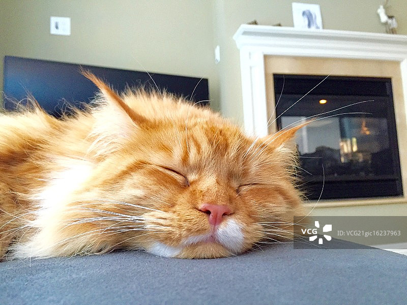 睡眼惺忪图片素材