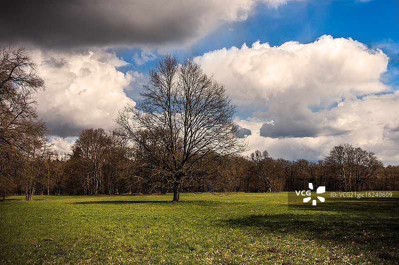 科特布斯勃兰尼茨公园图片素材