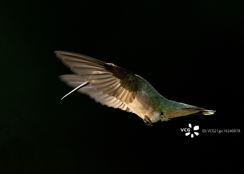 看到我的眼睛了吗？图片素材