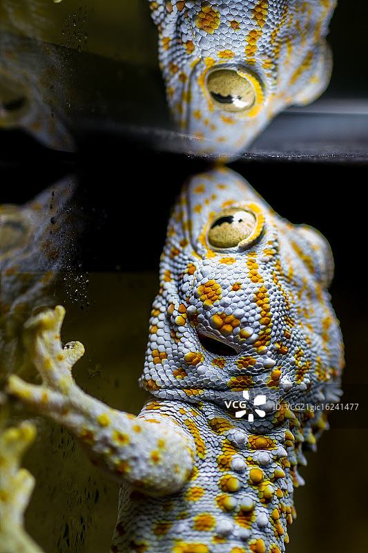 在我的眼中图片素材