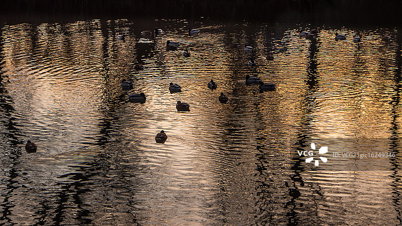 辛斯基鱼塘图片素材