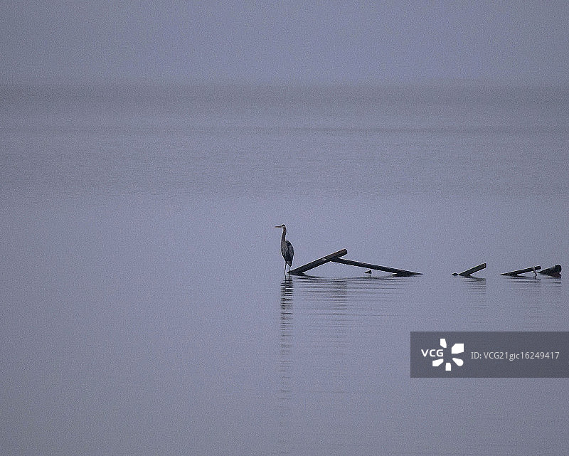湖面上的人们图片素材