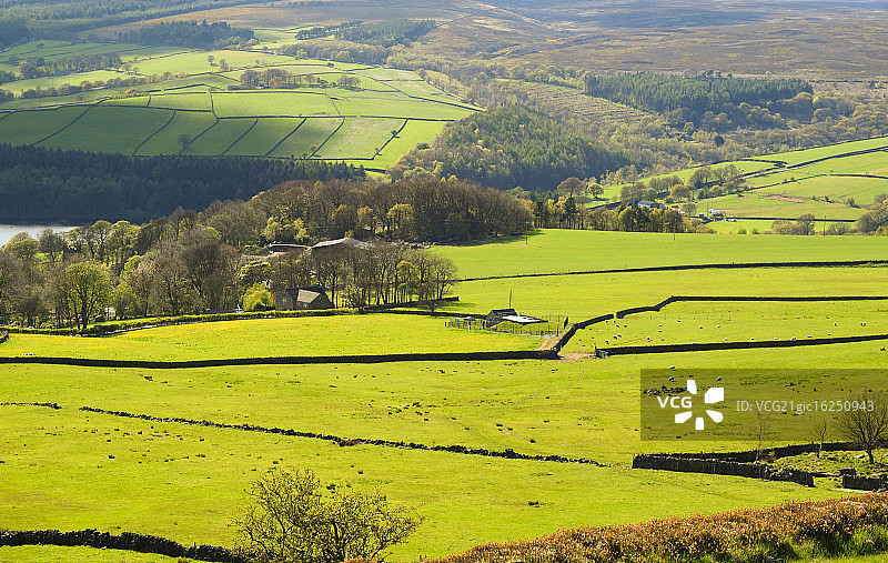 英格兰图片素材