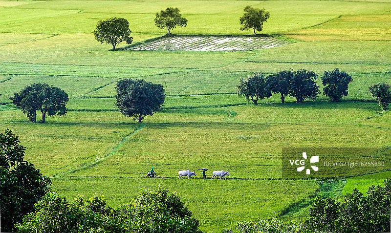 越南安江图片素材