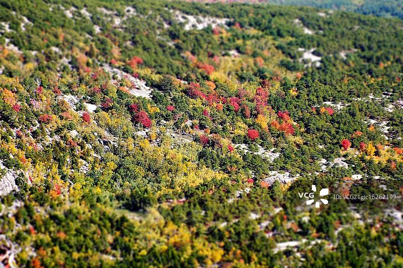 凯迪拉克山图片素材