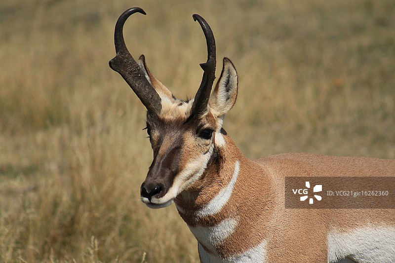 如此接近图片素材