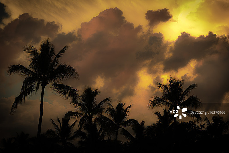 佛罗里达群岛傍晚图片素材